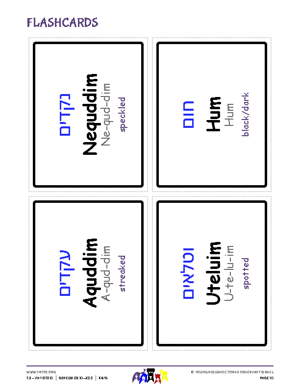 Flashcards