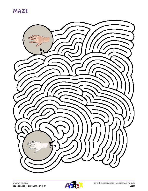 Maze