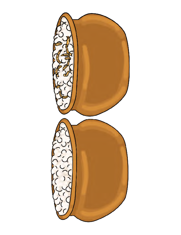 Craft 3 Main Page (color)