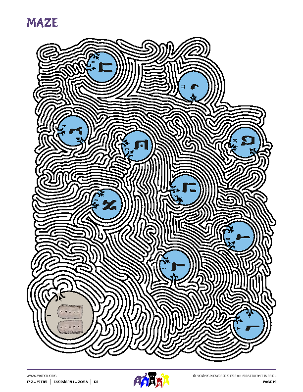 Maze