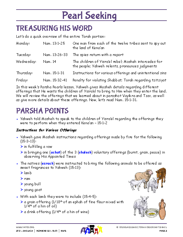 Parsha Points (main lesson content)