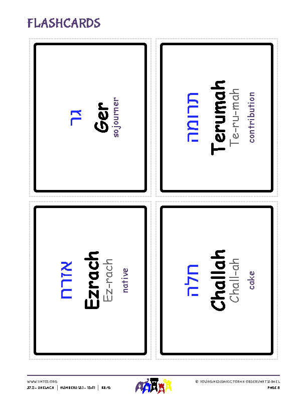 Flashcards