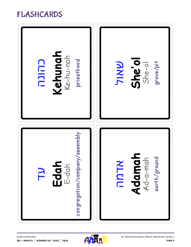 Flashcards