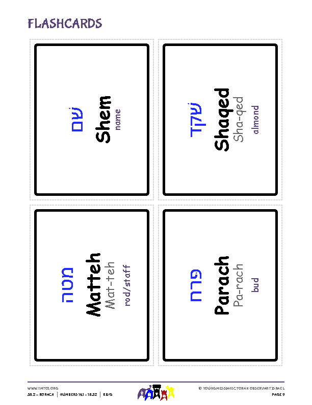 Flashcards