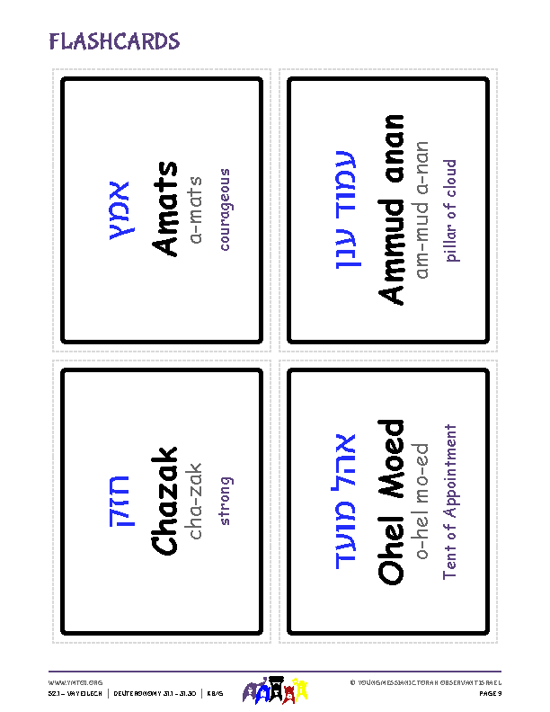 Flashcards